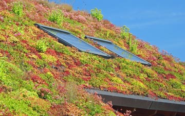 Montgomery living roof systems