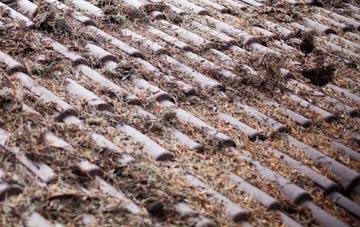 Montgomery roof cleaning companies